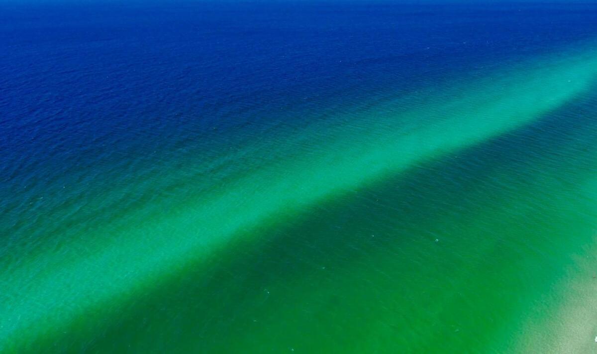 Ocean Air Upper West Private Beach Unit On 30A شاطئ سانتا روزا المظهر الخارجي الصورة